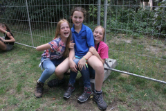 0493-Maandag